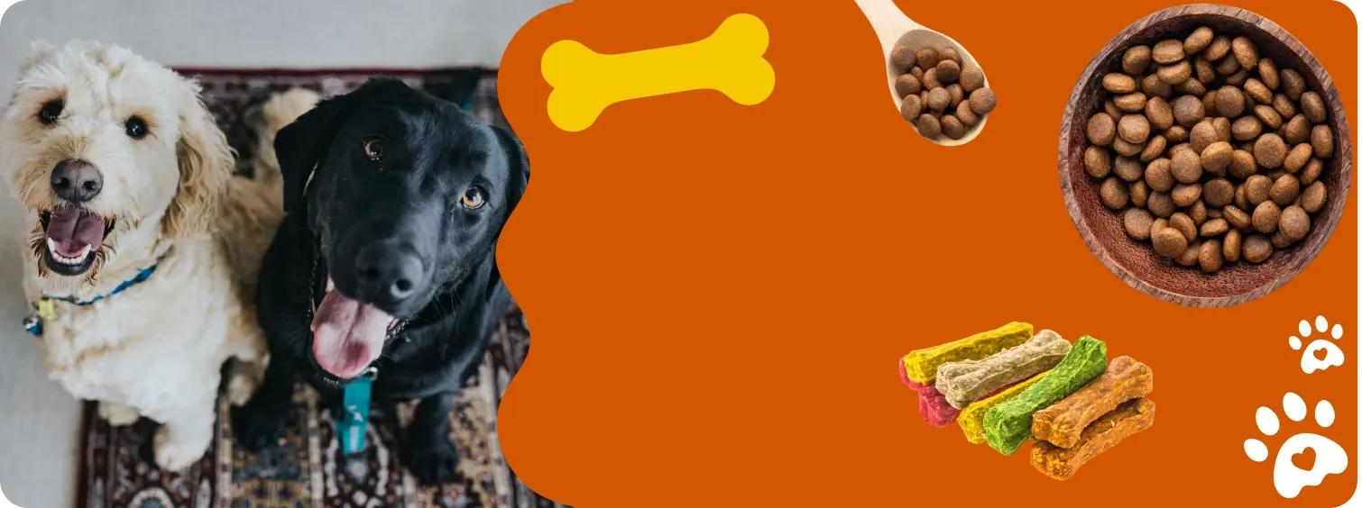 Sur les aliments et accessoires pour animaux